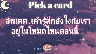 pick a card ep148💫🎇⌛อัพเดตเค้ารู้สึกยังไงกับเรา...อยู่ในโหมดไหนตอนนี้🤍🧸Timeless