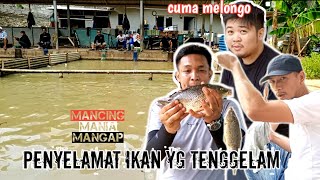 INI ADALAH MISI RAHASIA (istri) JANGAN TAU II PENYELAMAT IKAN YANG TENGGELAM