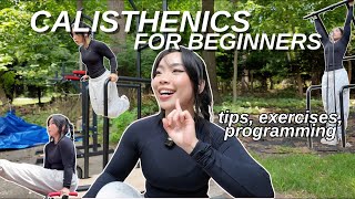 HOW TO START CALISTHENICS | beginner exercises, my split \u0026 calisthenics tips