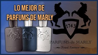 TOP 12 PARFUMS DE MARLY | Mi colección Parfums de Marly | Elige tu caballo ideal - Guía de compra.