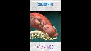 Labor and Delivery | Vaginal Childbirth animation