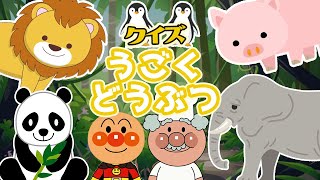 アンパンマンと動物園に行こう！動物の鳴き声クイズ！人気の実写動物！