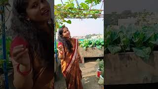 #Prathamastami pain subheschha#shortsvideo #viral#love