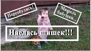 Мишель приехала к бабушке... Наелась шишек! Мы переобулись! #sugarbg #влог #крошкамишель