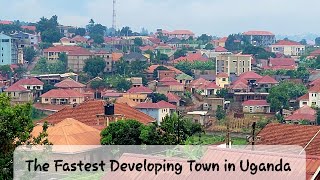 Developing Real estate of Najjera town