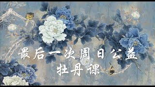 慢步骤画牡丹_最后一次周日牡丹公益课_Chinese Painting_Peony Painting / Peinture chinoise_Comment peindre des pivoines?