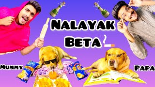 Nalayak beta | comedy video | Talking dog leo | Anant rastogi