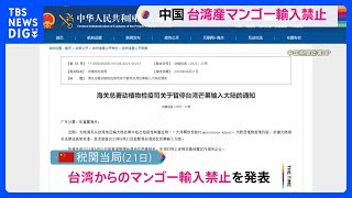 中国が台湾マンゴー輸入禁止　副総統のアメリカ立ち寄りに対抗か｜TBS NEWS DIG