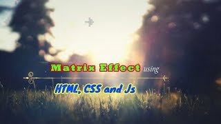Matrix effect / Binary rain effect using html and css