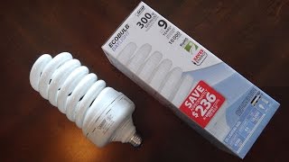 FEIT 85watt Daylight CFL Light Bulb