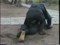 ninjutsu grand master masaaki hatsumi in action pt. 13