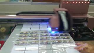 Nuocai 6090 PVC cards printing