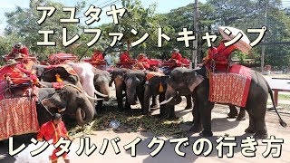 【道順詳細】アユタヤエレファントキャンプへの行き方（レンタルバイク編）（How to go Ayutthaya Elephant Camp by Rental Bike）