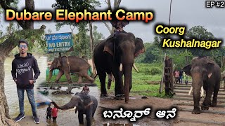 Dubare Elephant Camp | Coorg, Kushalnagar | EP #2 #dubare #elephant #coorg #kannada #monsoon2023