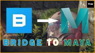 EXPORTING 3D ASSET FROM BRIDGE TO MAYA | VFX VIBE