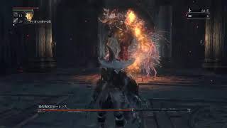 Bloodborne/ブラッドボーン　Lv24　攻略