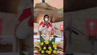 Fr. Jees Pakrath - ഞങ്ങളുടെ സ്വന്തം വികാരിയച്ചൻ