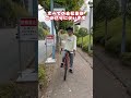 自転車はどの信号に従えばいいのか迷う君へ 自転車 電動自転車 電動アシスト自転車 ebike 交通安全 交通ルール echarity