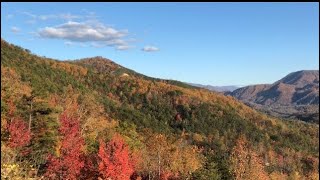 【游记】022/金秋十月自驾游美国最受欢迎的国家森林公园路大烟山（大雾山）~~Great Smoky Mountains. 疫情期间太压抑了出来透透气吧！