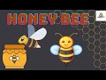 HONEY BEE  KIDS SONG | kids nursery rhyme | RehmatTV