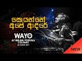 WAYO (Live) - Soyanne Ape Adare ( සොයන්නේ අපේ ආදරේ )