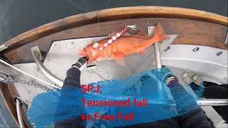 SPJ Technique Review: Tensioned Fall vs Free Fall