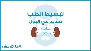 تبسيط الطب | صديد فى البول