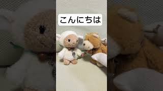 NICI　ニキ　ぬいぐるみ　くまちゃん　クマ　熊　くま　羊　ひつじ　推しぬい　ぬい活　推し活　キーリング　ミニサイズ　マスコット　フィギュア　アニマル　動物　キャラクター　キャラ　ドイツ生まれ