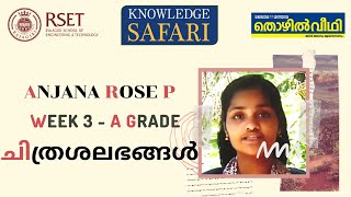 Knowledge Safari -Butterflies- ചിത്രശലഭങ്ങൾ- Anjana Rose -Week 3 A Grade