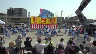 2015藍流｢雪輝舞心～せっかまいしん～｣藍流祭りにて