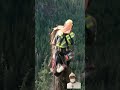 tree cutting skills climbing tree adventure woodworking lumberjack cedar stihl thestallion