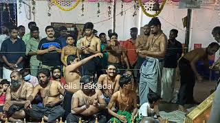 Swamy Ayyappa Bhajanai | Tirunelveli Pothigai Nagar Sri Ayyappan Kovil #sabarimala #swamisaranam