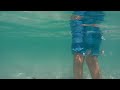 Released Snapper swimming around for Snapper Guardians 2018