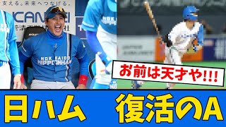 【復活のA】日ハム”あの人”が復活か！！！【プロ野球反応集】【2chスレ】【5chスレ】