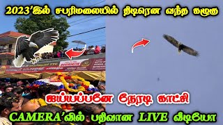 2023'இல் சபரிமலை'இல் திடிரென வந்த கழுகு ! ஐய்யப்பனே நேரடி காட்சி ! எங்கும் கண்டிராத அதிசயம் !