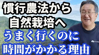 慣行農法から自然栽培へ。うまく行くのに時間がかかる理由【自然栽培】【無農薬】【無肥料】【自然農法】【自然農】【食の安全】【オーガニック】【有機JAS】【自然食品】【化学物質過敏症】【香害】