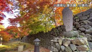 【小諸の風景】2022年 小諸城址 懐古園 紅葉