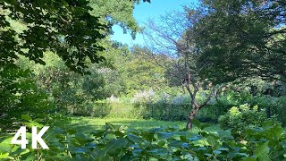 #28 Walk around Nishi-Kokubunji to Kokubunji Tokyo Japan 4K