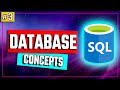 How Databases Organize Data? - SQL Tutorial #3
