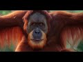 gigantopithecus the largest ape that ever existed documentary english hd