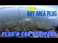 Plugging For Striped Bass (SF Bay Area Shoreline Fishing)