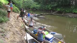 Fossils and Ferns: Canoeing the Sepulga River