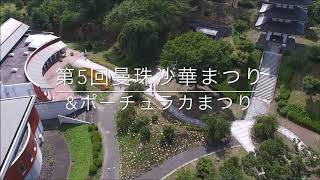 奥州安達ケ原ふるさと村、第５回曼珠沙華まつり\u0026ポーチュラカまつり