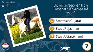 Marwari Paard, de paarden quiz, Paarden rassen