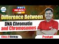 Difference Between DNA, Chromatin and Chromosomes | Class 9 Biology | LIVE | @InfinityLearn_910