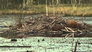 Wonderful Wetlands Tour