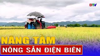 Nâng tầm nông sản Điện Biên | Điện Biên TV