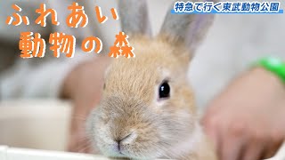 【もふもふ】動物とのふれあい体験。東武動物公園【最終話】