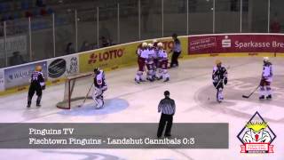 Spielbericht Fischtown Pinguins gegen Landshut Cannibals 26.10.2012