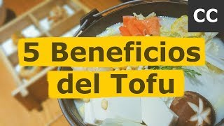 5 Beneficios del Tofu | Ciencia de la Comida